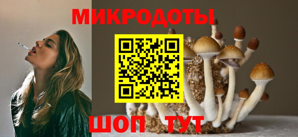 купить наркотики цена  Галлюциногенные грибы мицелий  Вход с VPN  Ртищево 